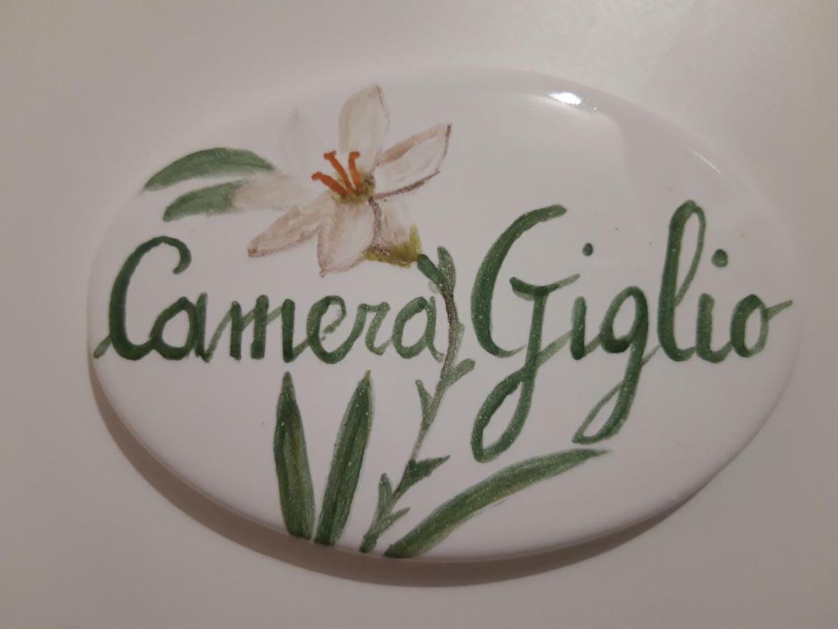Il Sorriso Bed & Breakfast Florence Luaran gambar